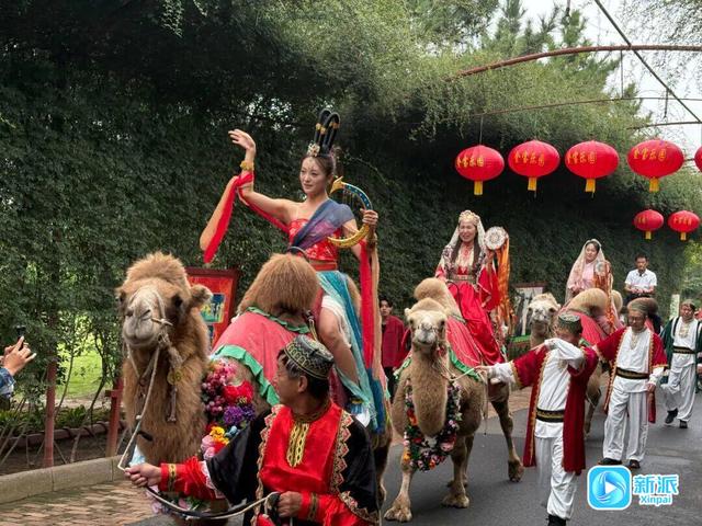“双节”期间，50余项文旅活动带你玩转潍坊~