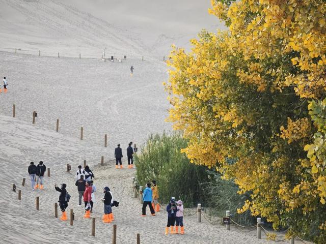 双节同庆，欢乐满溢！鸣沙山月牙泉再现文旅热潮