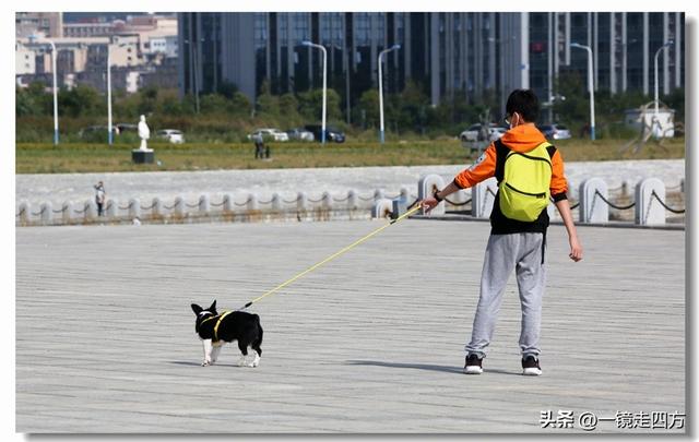 在大连陵水湾打造出的“海纳百川”国际雕塑景观带