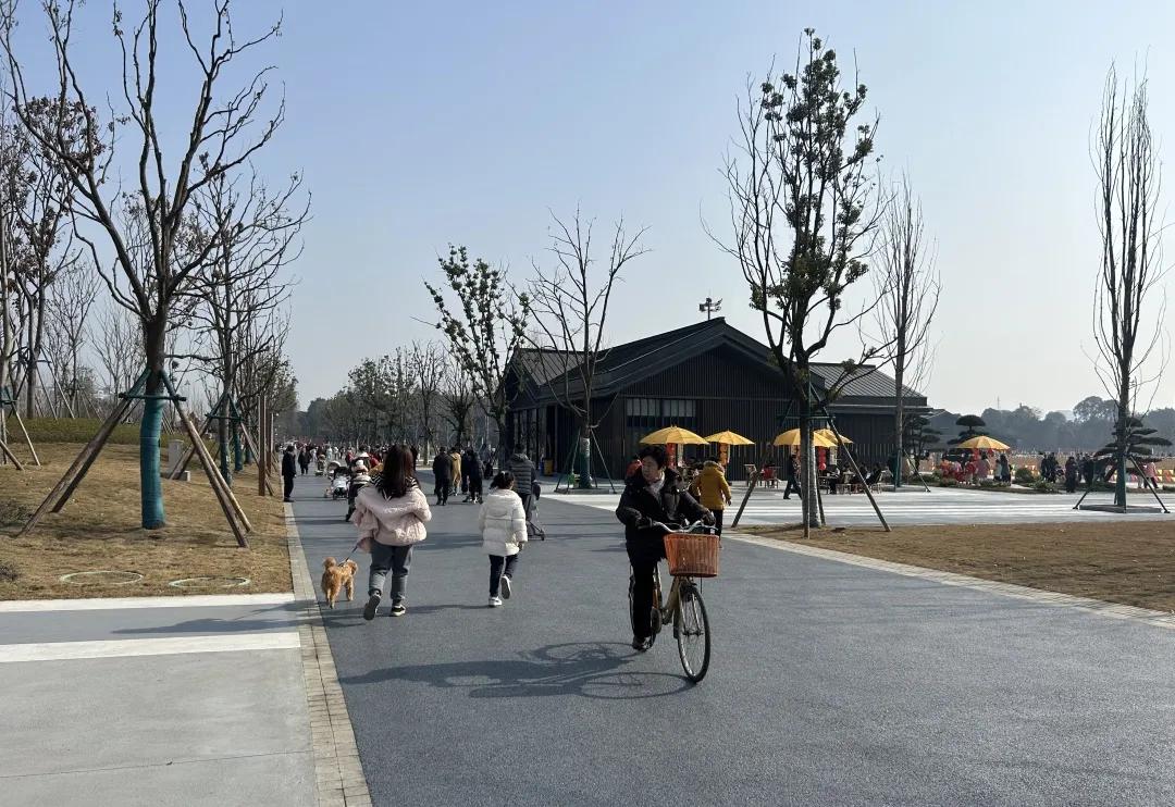 千年文脉焕新颜!郫都望丛公园盛大开园迎新春→插图7 千年文脉焕新颜!郫都望丛公园盛大开园迎新春→插图7