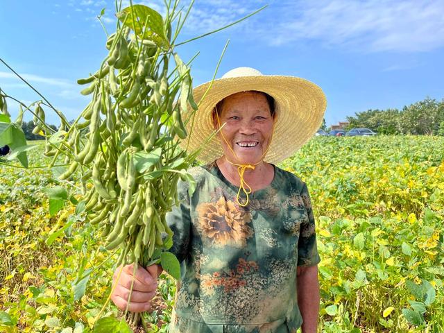 巴西大豆坐地起价，中国不接招停购反制，后悔也晚了！