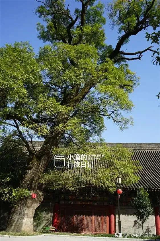 西安秦岭深山古寺，白娘子里的法海和尚竟在这里出的家！古韵悠长