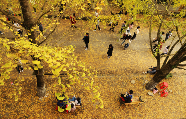 别卷作业了，卷卷大自然！韶关秋日研学，让娃成为朋友圈最酷的崽