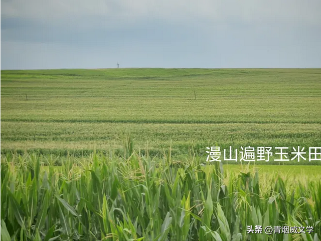 八月闲云行：内蒙古 黑龙江