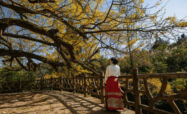 跟我回贵阳！周深发出家乡邀请，带你探寻他私藏的绿水青山！