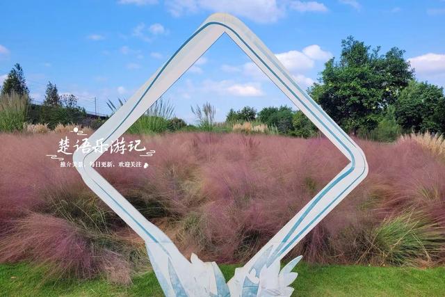 浙江宁波最受欢迎的粉黛园，其实没那么美，但周边的风景很值得游
