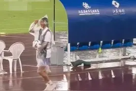 常州输球“小恐龙”被气晕抬走？恐龙园回应：系机械恐龙表演时故障图片