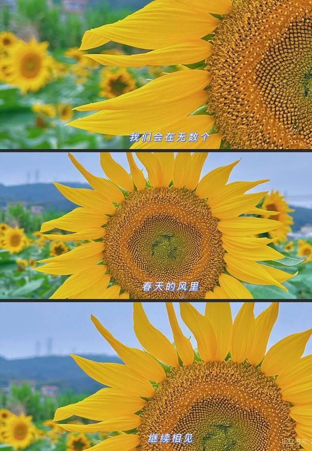 拿好这份初秋“寻色地图”，骑行解锁韶关的限定美景