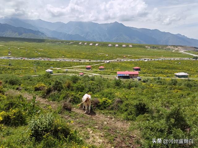 盧世明：盛夏游积石山