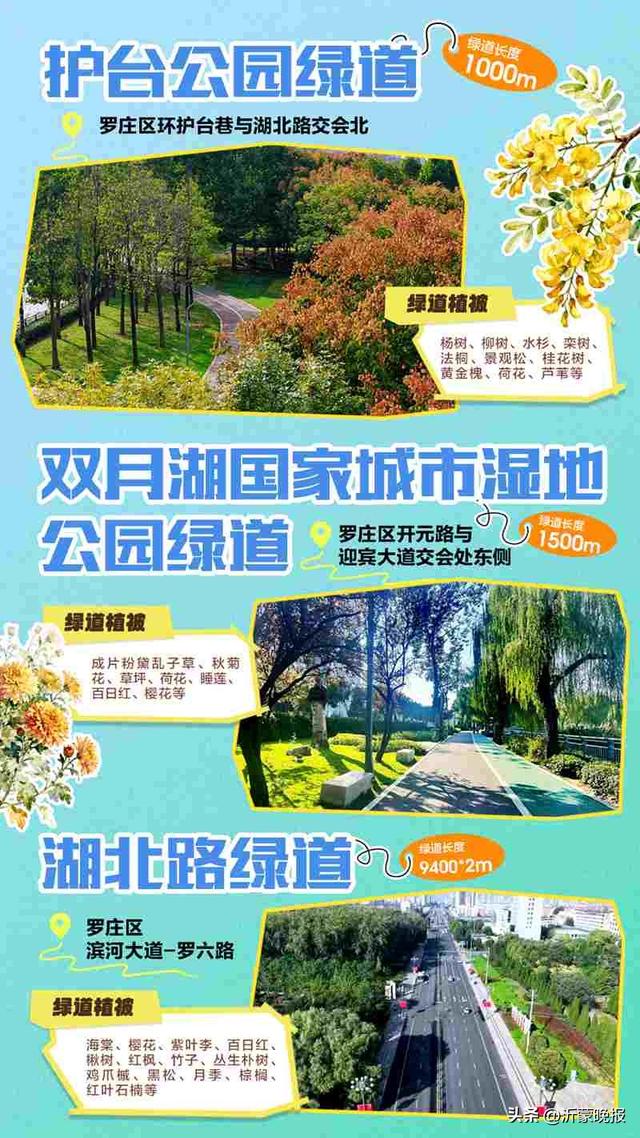 藏不住了！临沂35条诗意绿道，道道有风景，步步皆诗意