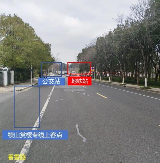 限时开通！直达鼋头渚