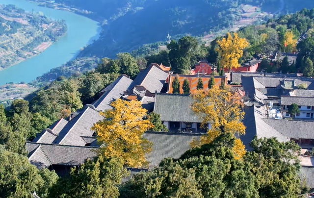 成都绝佳赏银杏景点，拥有两棵千年“夫妻树”银杏树，却少有人知