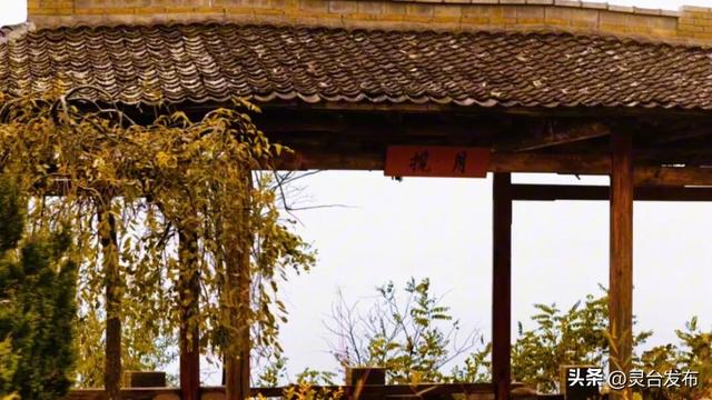 把灵台秋韵的山水诗意 都藏进这个秋天里