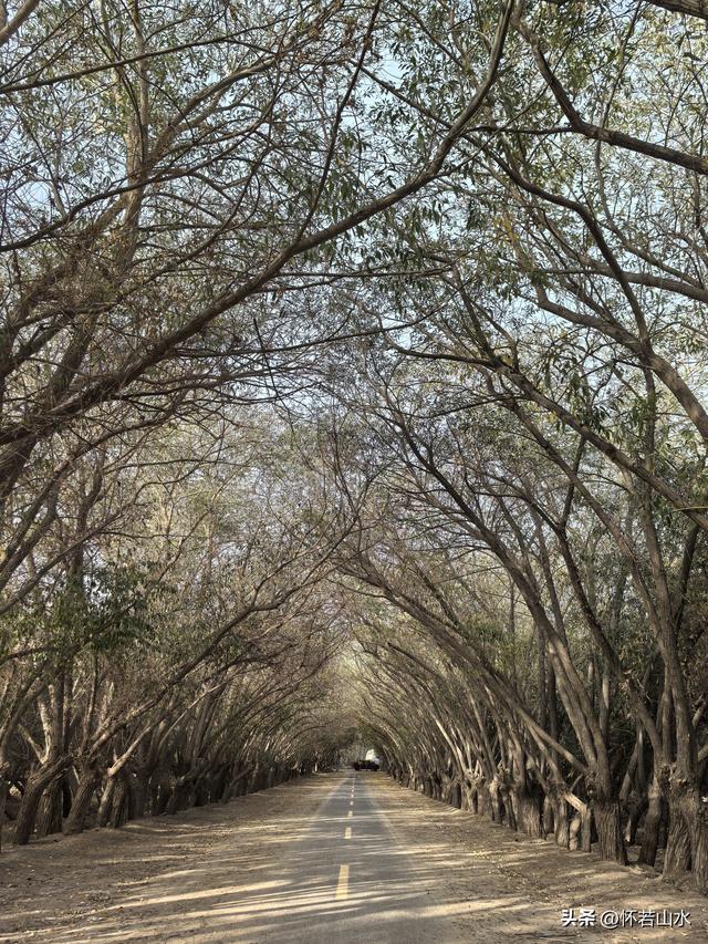 2025环南疆沙漠铁路背包自由行日记(3)---新藏公路零起点叶城打卡