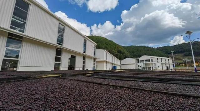 上海→普洱旅游专列首发！开启山海相连新旅程