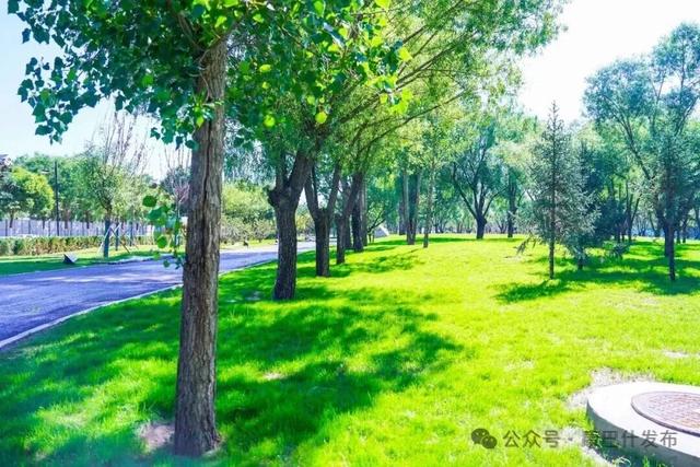 你敢信？20年前的风沙之地，如今竟成中国草原宜居第一城！