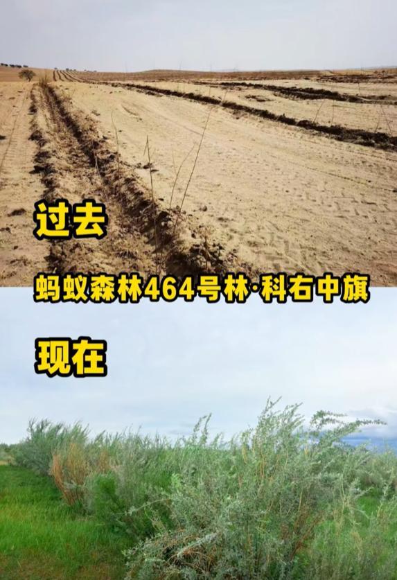 马云现身蚂蚁森林，大口吃西瓜，现场杂草丛生，跟2016年对比明显
