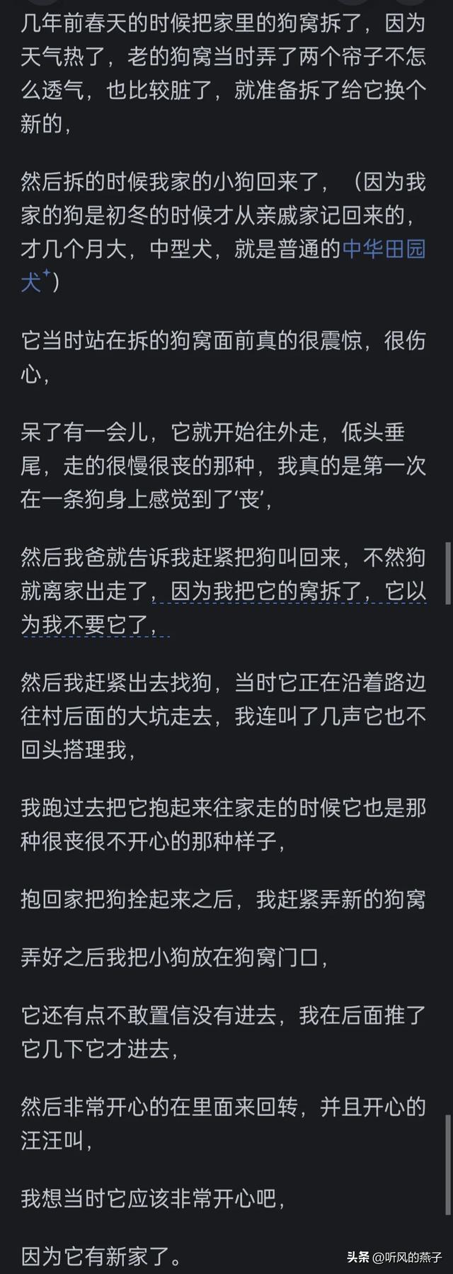 你是否有过把宠物逼的差点说话的时候？网友们的分享，惊呆了
