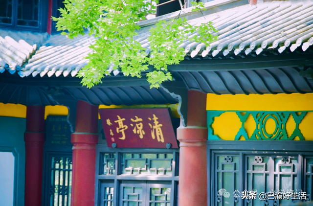 北碚公园竟是"大熊猫"命名地，原来藏着这么多秘密