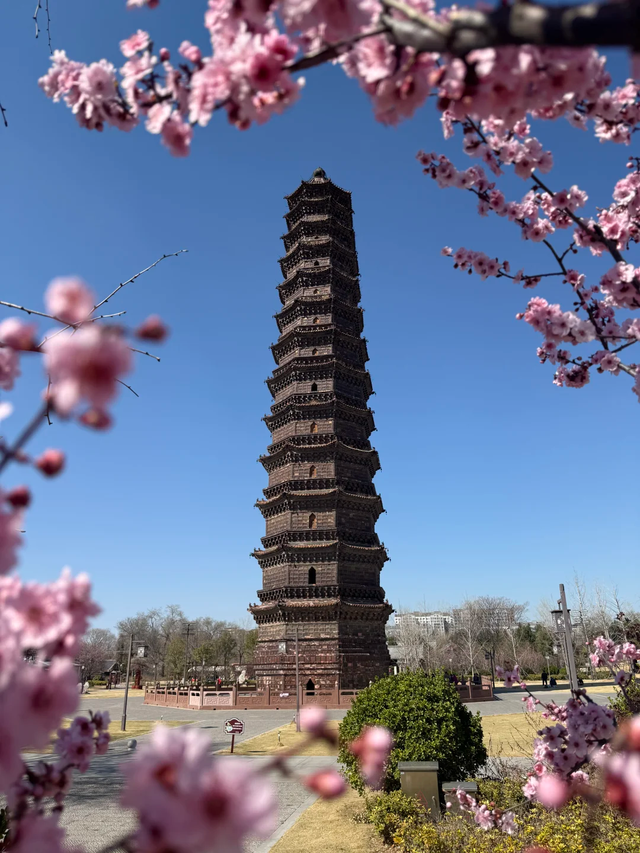 开封、洛阳这两座城市太不一样，一个烟火气，一个厚重感！