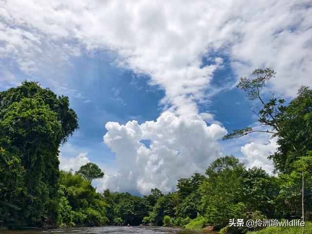 马来西亚(29)砂拉越州③姆鲁山清水洞·风洞