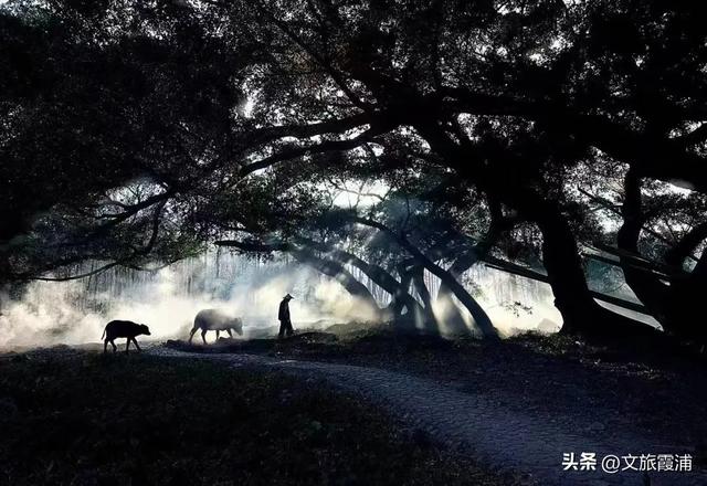双节打卡霞浦全攻略！山海、美食、非遗承包8天快乐