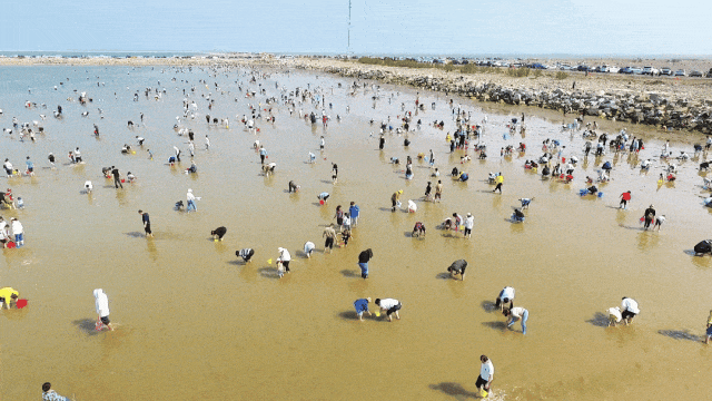 【走在前 挑大梁 非凡“十四五”】潍坊滨海文旅从“网红”到“长红”的进阶之路