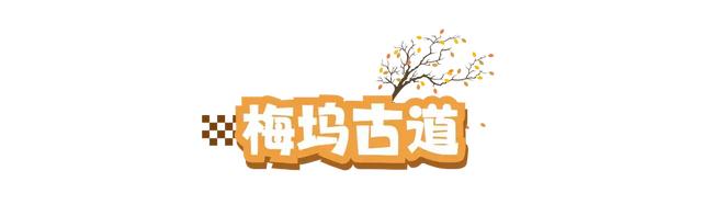 体荟四季｜初秋徒步正当时！长三角这些路线，承包你所有的秋日浪漫