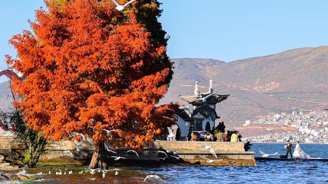 11月-1月，秋冬来云南，这10处绝美风景，是最佳观赏期