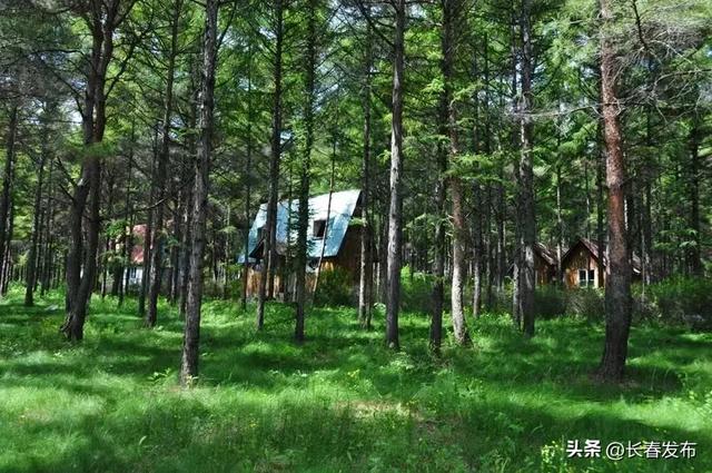 走进长春！150个网红打卡地之卡伦湖