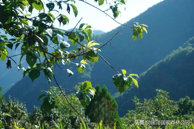 西安人注意!秋天别宅了!自驾2h直达“神仙氧吧”!