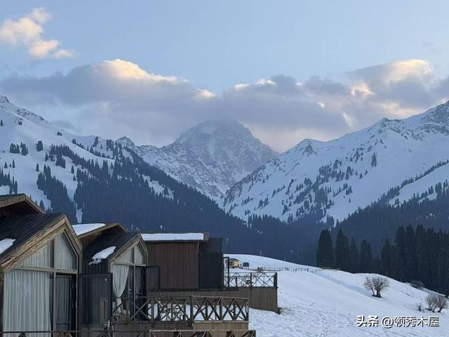 新疆三大顶流木屋营地：用15年木结构经验的眼光聊聊遗憾与避坑