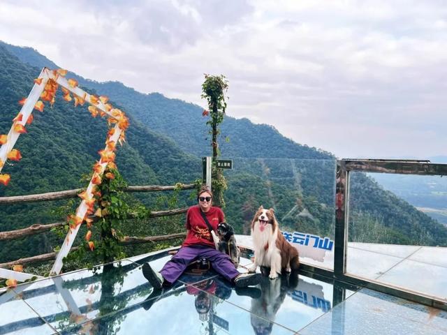 在韶关，带毛孩子去哪“浪”？这份宠物友好地图请收藏，撒欢不踩雷~