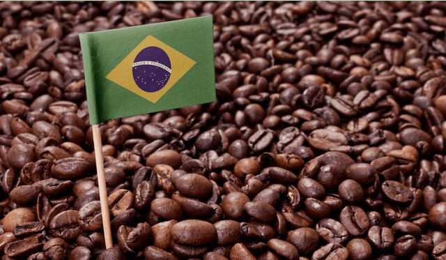 巴西对华免签在即，凭啥能稳居南美旅行首选之列？