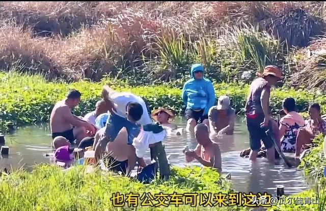 海南东方市，有一处免费“野温泉”：在东方市马龙村