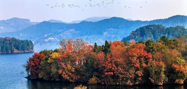 爱你老己，周末仁寿见！