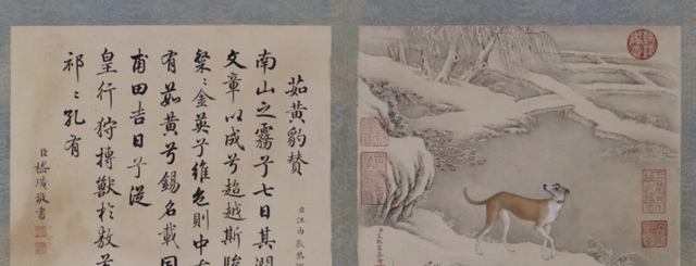 “霜眉”“普福”“将军负印”……老祖宗教你如何给小猫起名字