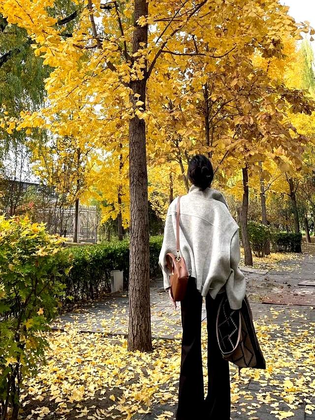 “浅燕麦立领外套+深棕阔腿裤”，秋日这样搭，温柔又显贵~