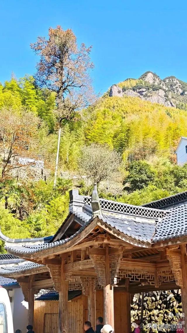 踏秋胜地，天脊龙门！浙江这个4A级景区已美成童话，等你来打卡