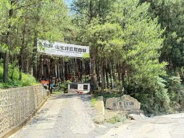 “趣”南川，野一“夏”！南川露营地全攻略，藏着夏日清凉答案→