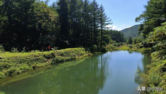 两次本溪南岭徒步记｜高山草甸，湖池松林，我被南岭种草