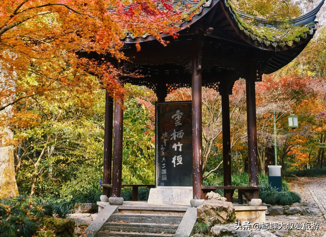 杭州“调色盘景点”爆火了，人从众不说，还藏着天花板枫景线！