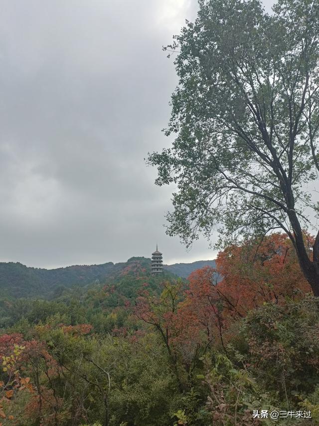 无为在歧路，济南红叶谷