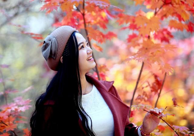 秋日红叶全攻略：认准这几棵树，带你解锁最美中国红！