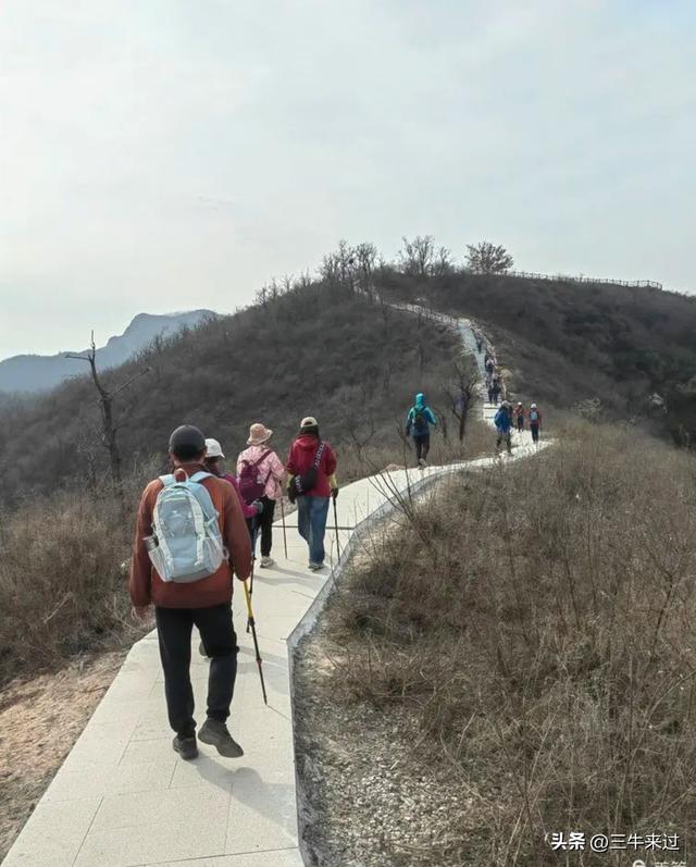 无为在歧路，冬日鹤伴山