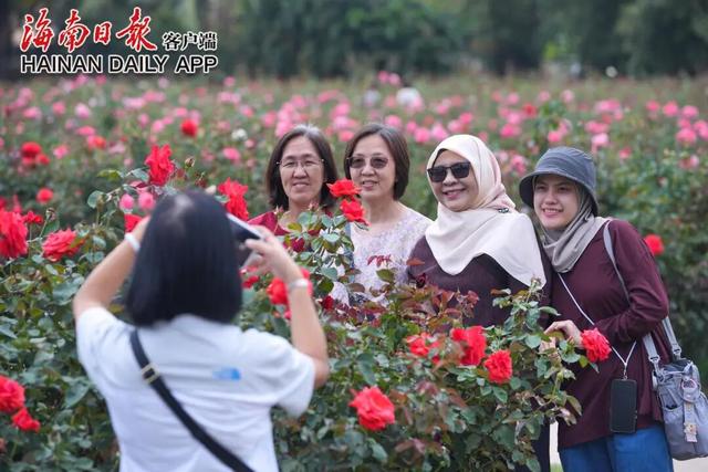 “Hainan Travel”新攻略来了！GO GO GO~