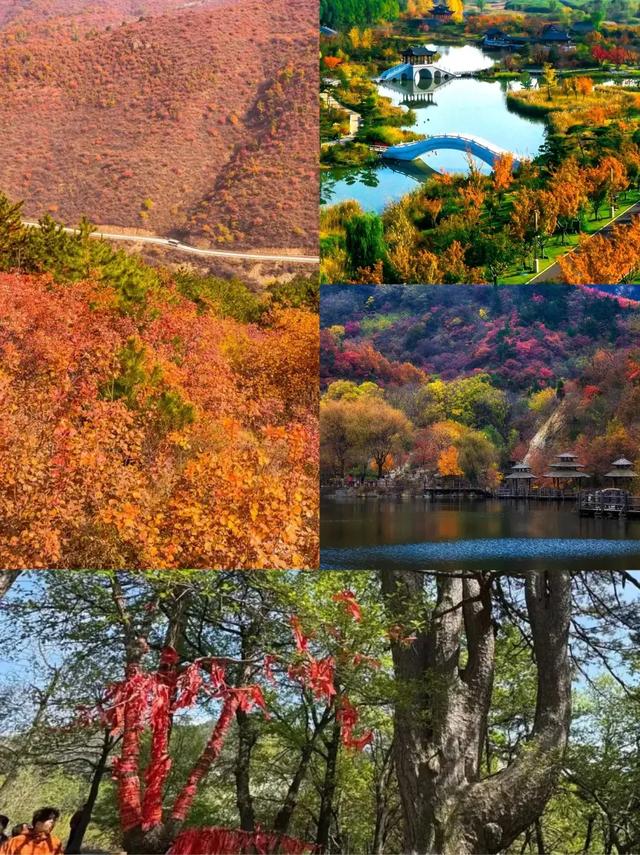 来山西长治拥抱初秋清凉