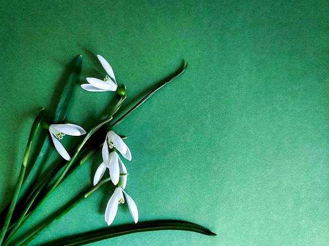 和女人断联后，多半是以下几种情况，很准！