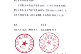 杨鸣宣布离婚：与唐佳良和平解除婚姻关系，两人共同抚育孩子图片