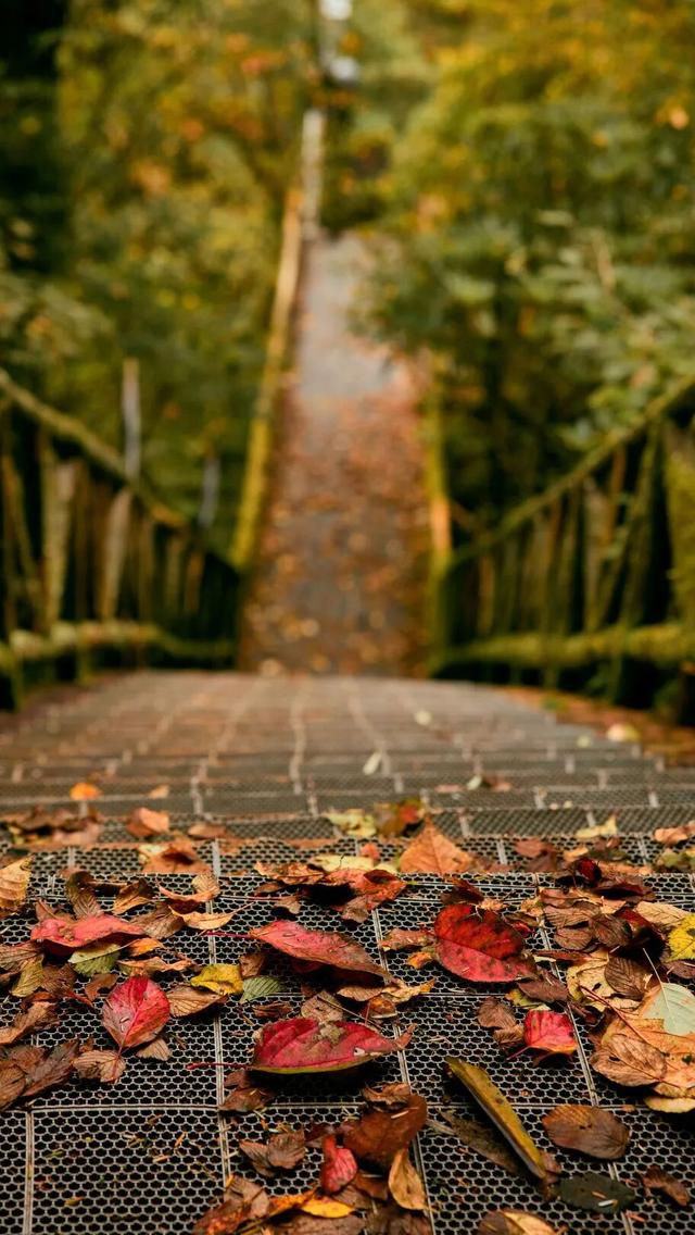 秋假第一站，就定这里！这片绝美彩林人少景美，速来赏秋！